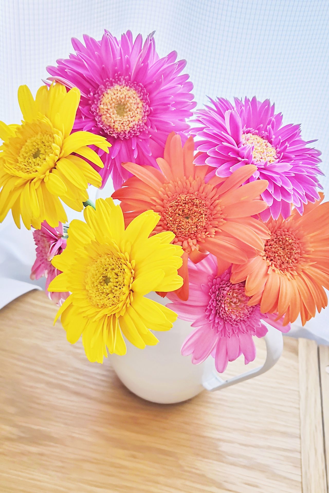 4月の人気ランキング ルミネ北千住 ルミネ北千住店 Chut Intimates シュット インティメイツ 公式ショップブログ ランジェリー 下着ブランド