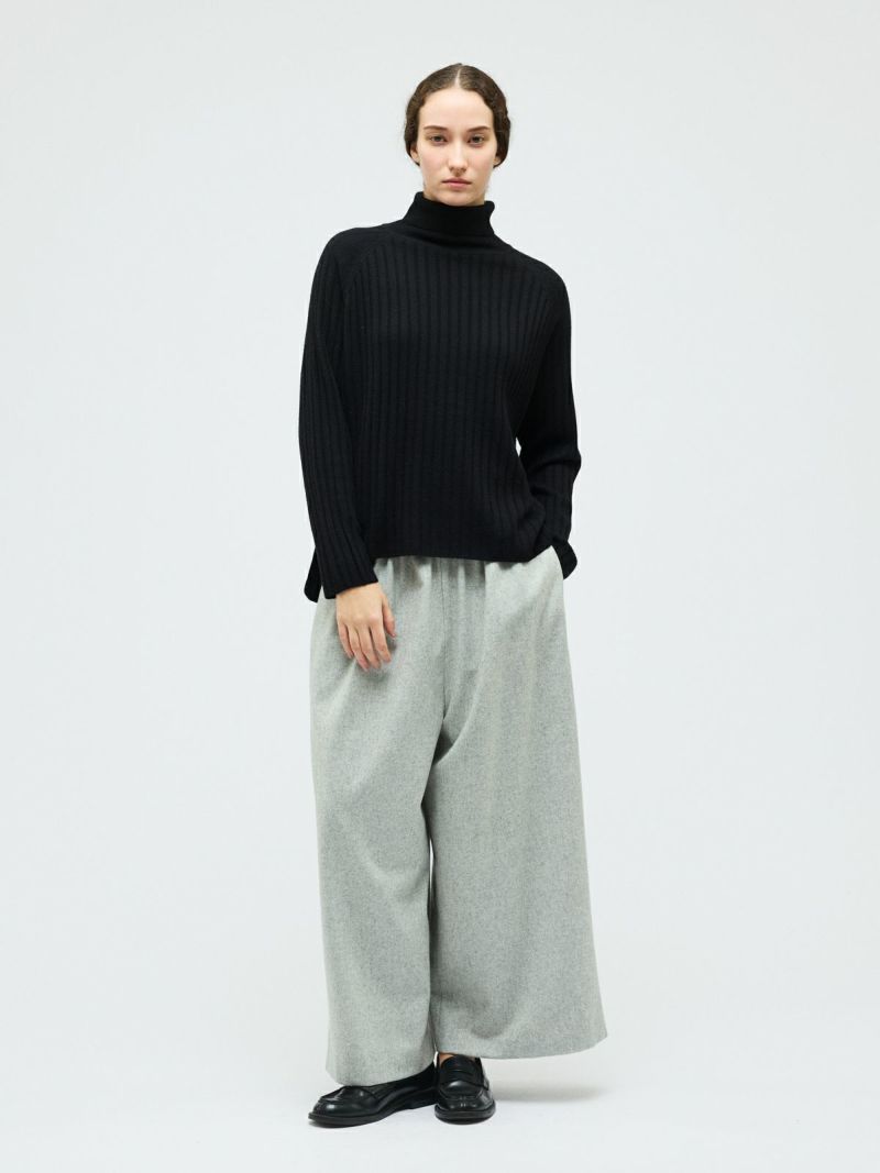 mizuiro ind 2025 Winter Special (T4)