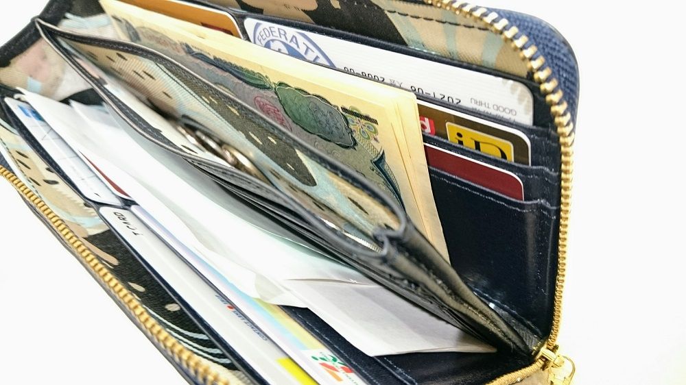 IANNE✨イアンヌ✨財布✨トラベルパリ✨マルチ✨レザーウォレット✨ナタリー✨ 金運アップに！ナタリーパイソン | IANNE(イアンヌ) | IANNE ランド店