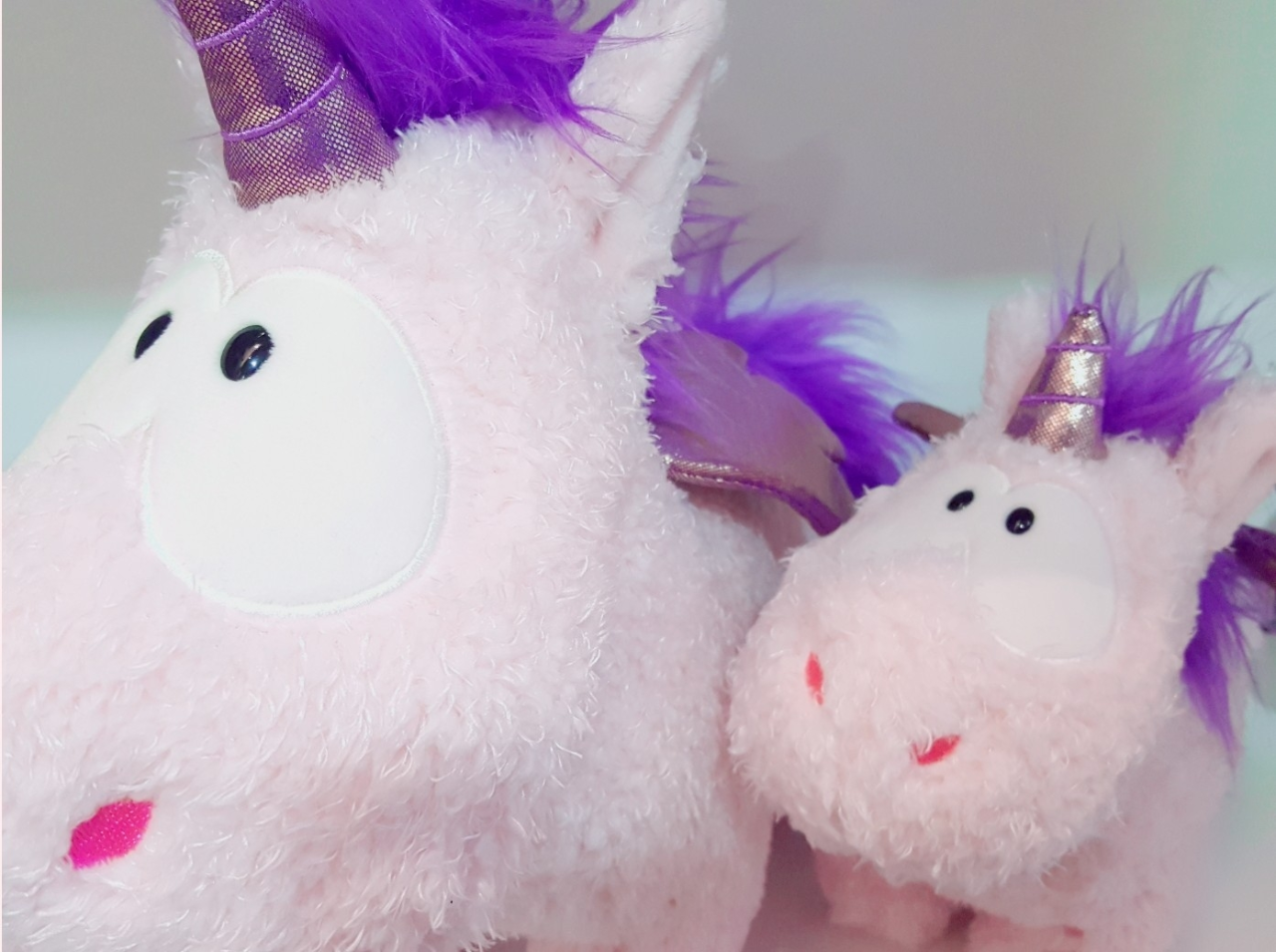 e72cc1411074e10d9c9d046d351dc1