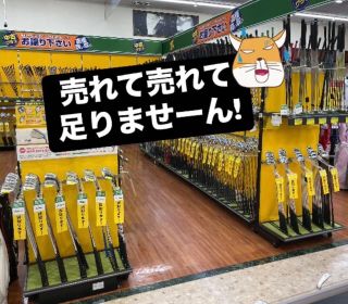 227631503cb2070740aa6f6f5624ac