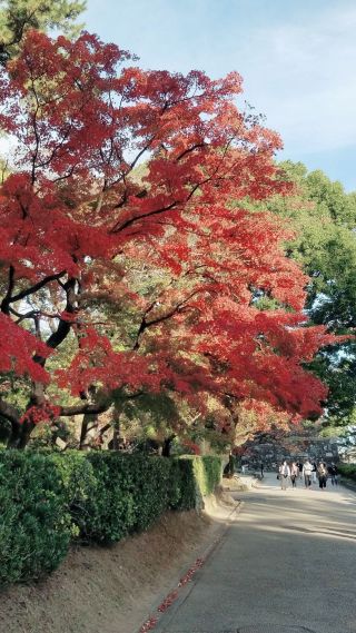 冬でも水着が売っているお店と言えば 阪急うめだ本店 Riberce Riberce リベーチェ 公式ブログ