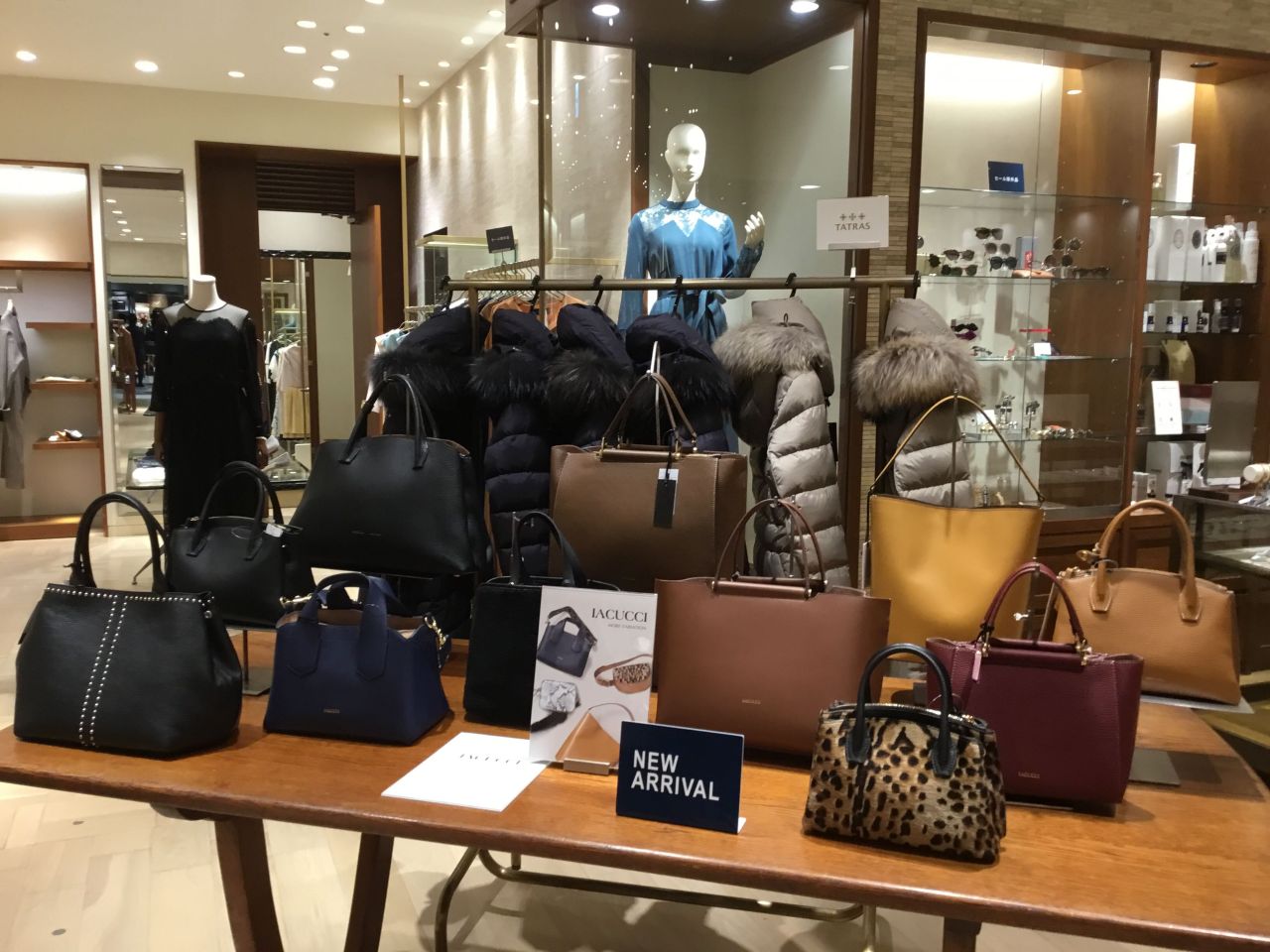 IACUCCI イアクッチ more variation 〜 | SHIPS(シップス