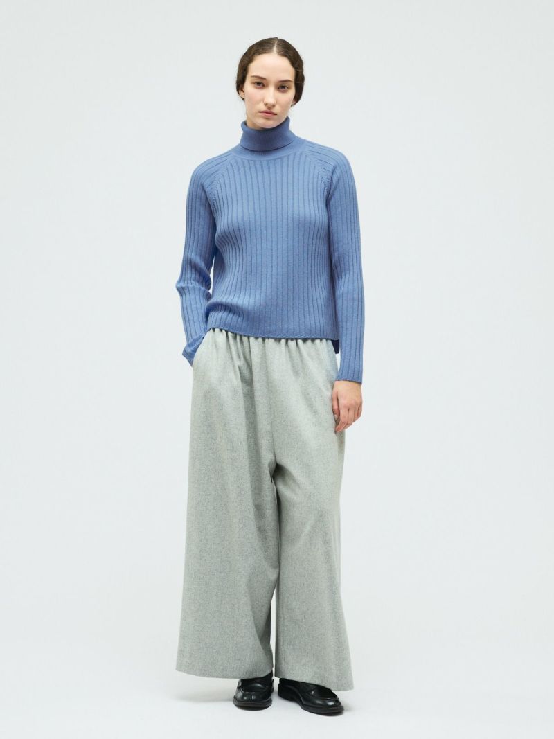 mizuiro ind 2025 Winter Special (T6)