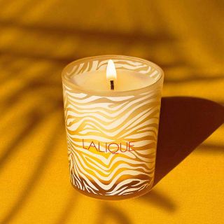 新作キャンドル♪ | 岡山拠点のトミヤコーポレーション公式ショップブログ