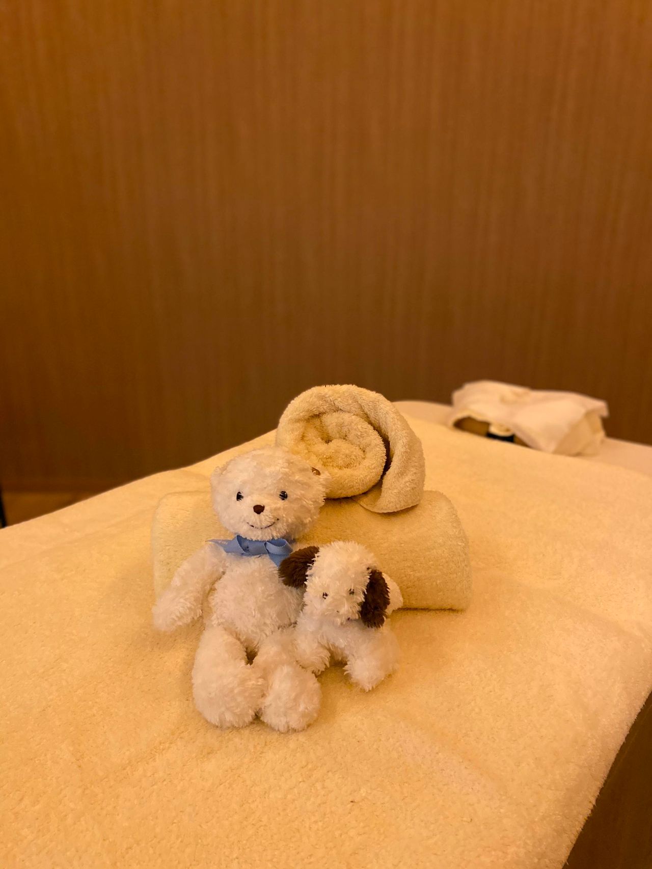 familiar ファミリア バーディー ぬいぐるみ 犬 ピオヌンナル