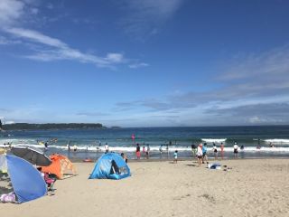 下田ライフセービングクラブ | SHIPS(シップス) | SHIPS 横浜店