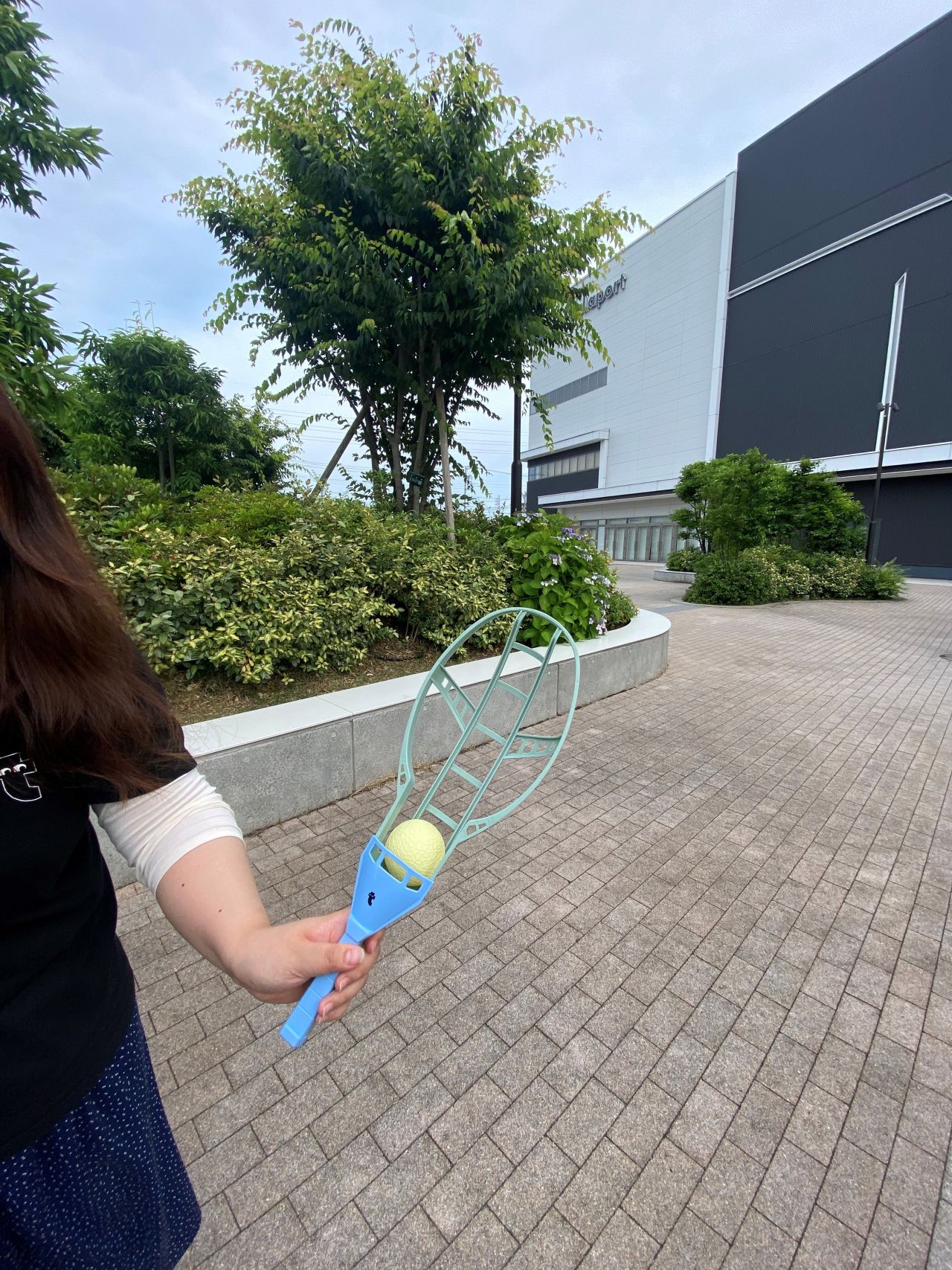 Grab the flag2 ライオン　キャンバスF6号　BAEZ3 Market Garden 2024 - Liberation Task Force XXX Corps column start