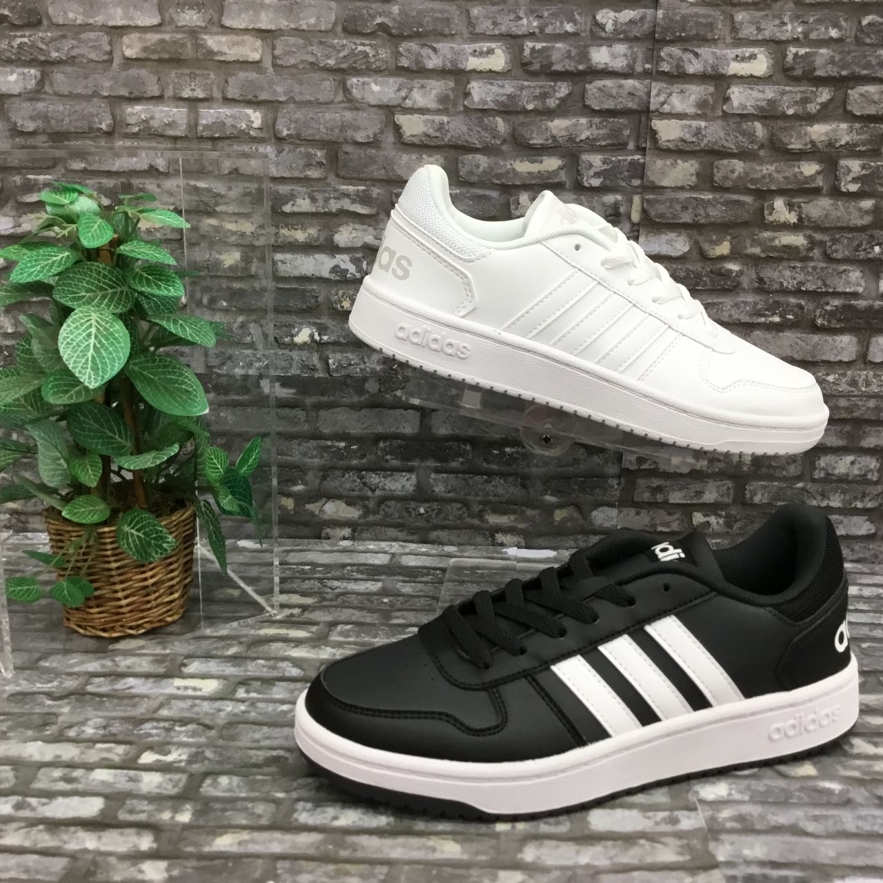 アディダスお揃い カジュアルスニーカー Asbeefam函館店 G Foot ジーフット の公式ブログ 人気シューズshopの最新情報