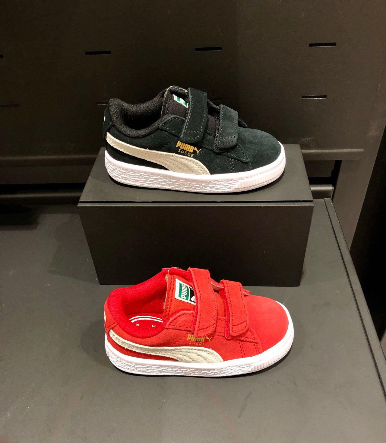 プーマスウェード キッズが入荷しました 名古屋千種店 フィットハウス公式ショップブログ Fithouseblog