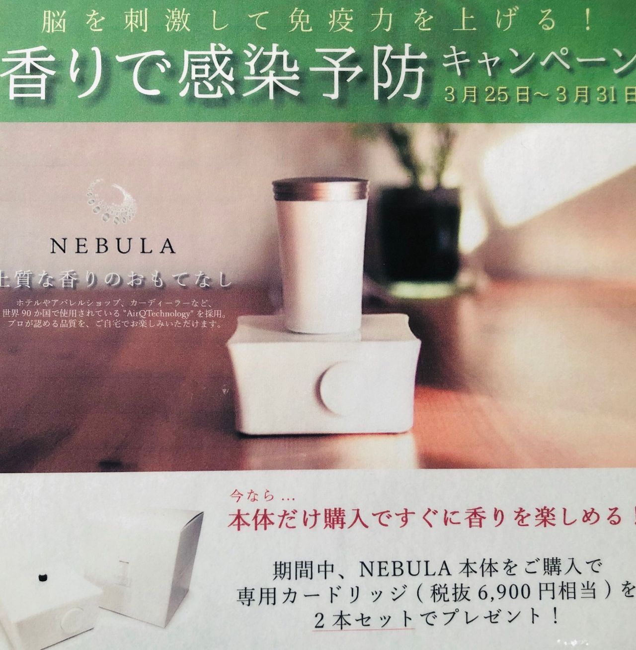 香り演出業界に根付く王 Viceversa札幌 アントレックス公式ブログ 香り演出業界に根付く王 Viceversa札幌 アントレックス公式ブログ