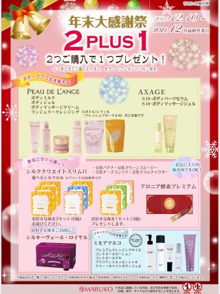 シルククリエイトスリム マルコ ダイエット MARUKO 2箱（15袋×2