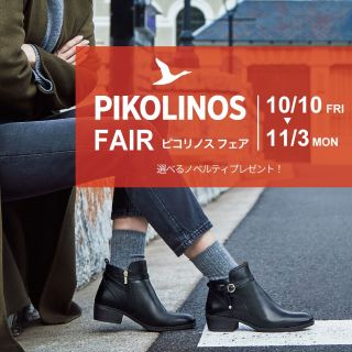 Ｌサイズ☆ PIKOLINOS FAIR♪♪♪