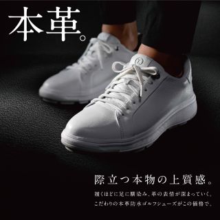 ティゴラ」よりNEWモデルシューズ登場！！！【本革コンフォート
