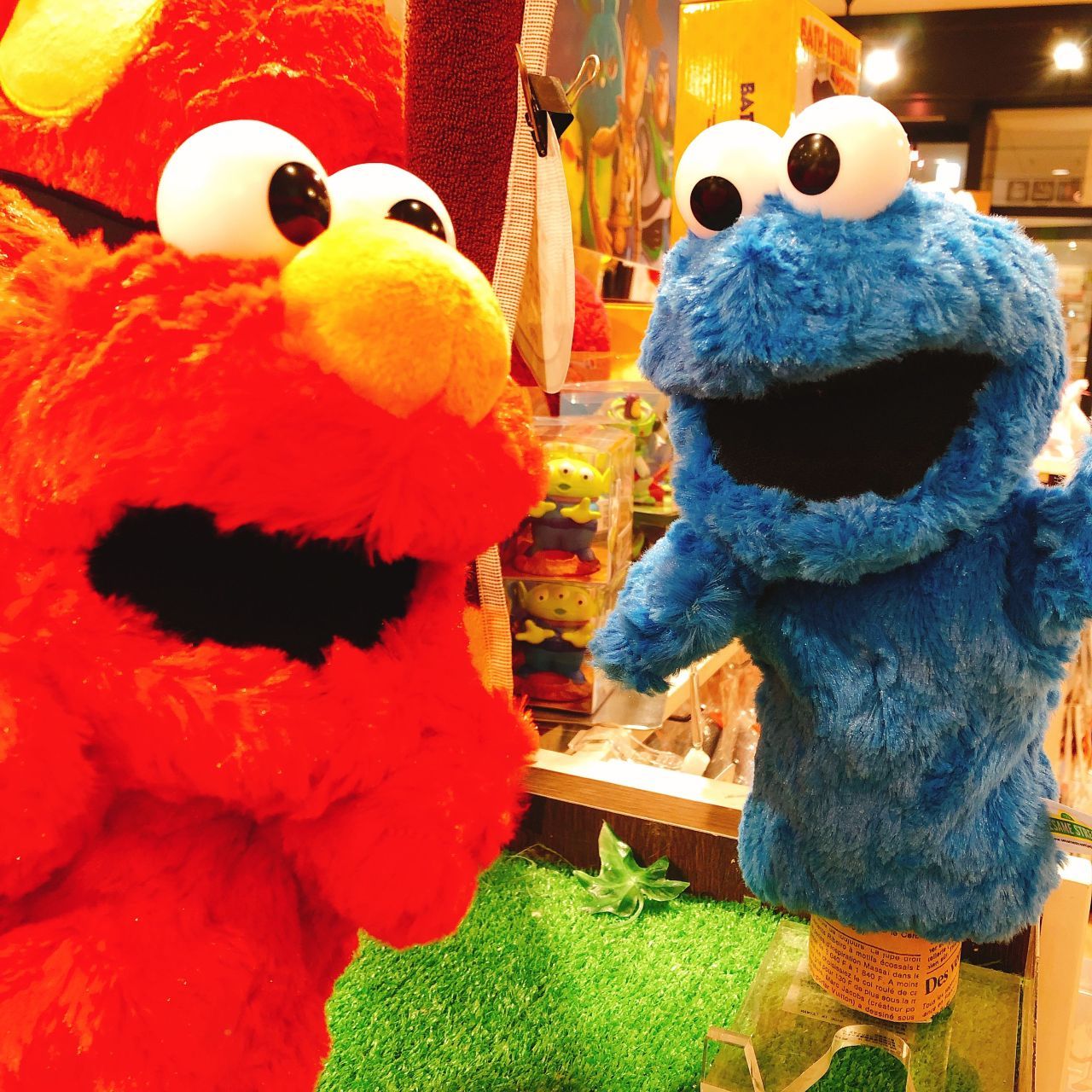 セサミ はじめました Entre Vida仙台港 アントレックス公式ブログ