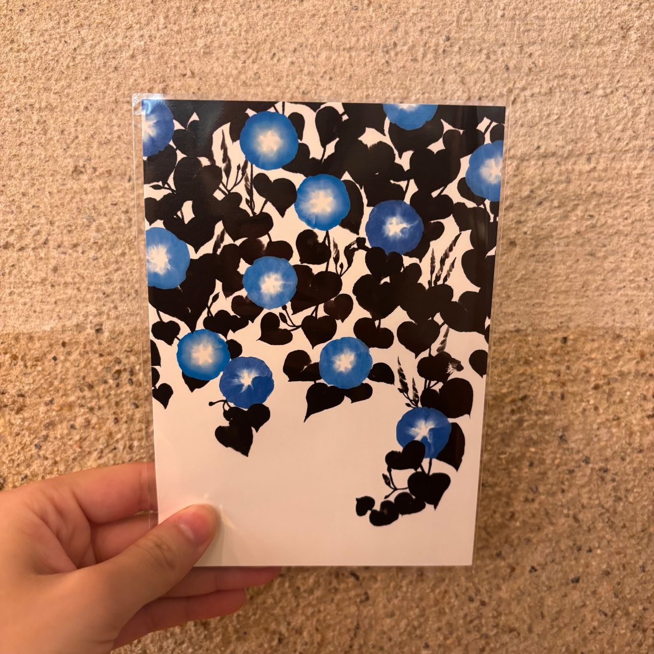 TDS ♡ Duffy China 青黒文字 不動 夏吟醸 純米大吟醸 無ろ過生酒 720ml 秋田の地酒屋 佐金酒店