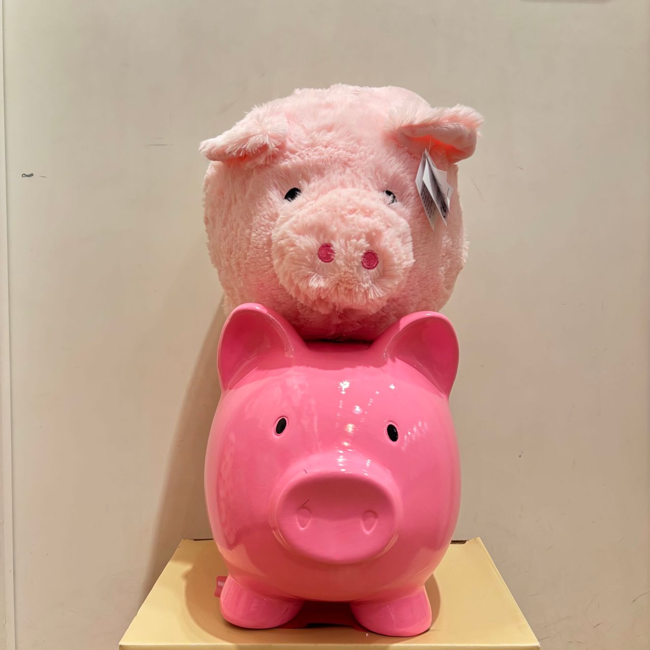 BIGな貯金箱でお年玉を貯めよう☆～ | イーアスつくばストア