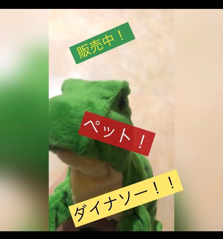 ガオガオ動画あり ダイダイダイナソー ダイダイダイナソー Viceversa札幌 アントレックス公式ブログ