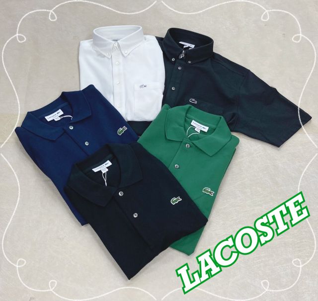 ラコステ LACOSTE メンズトップス PH063LJ-99【FITHOUSE ONLINE SHOP