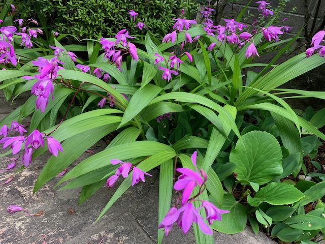 いよいよ秀宝展が始まります 岡山拠点のトミヤコーポレーション公式ショップブログ