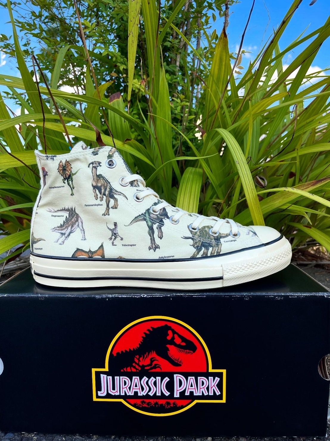 ピンクハウス♡コンバースコラボ商品♡新品未使用タグ付き♡最終価格♡