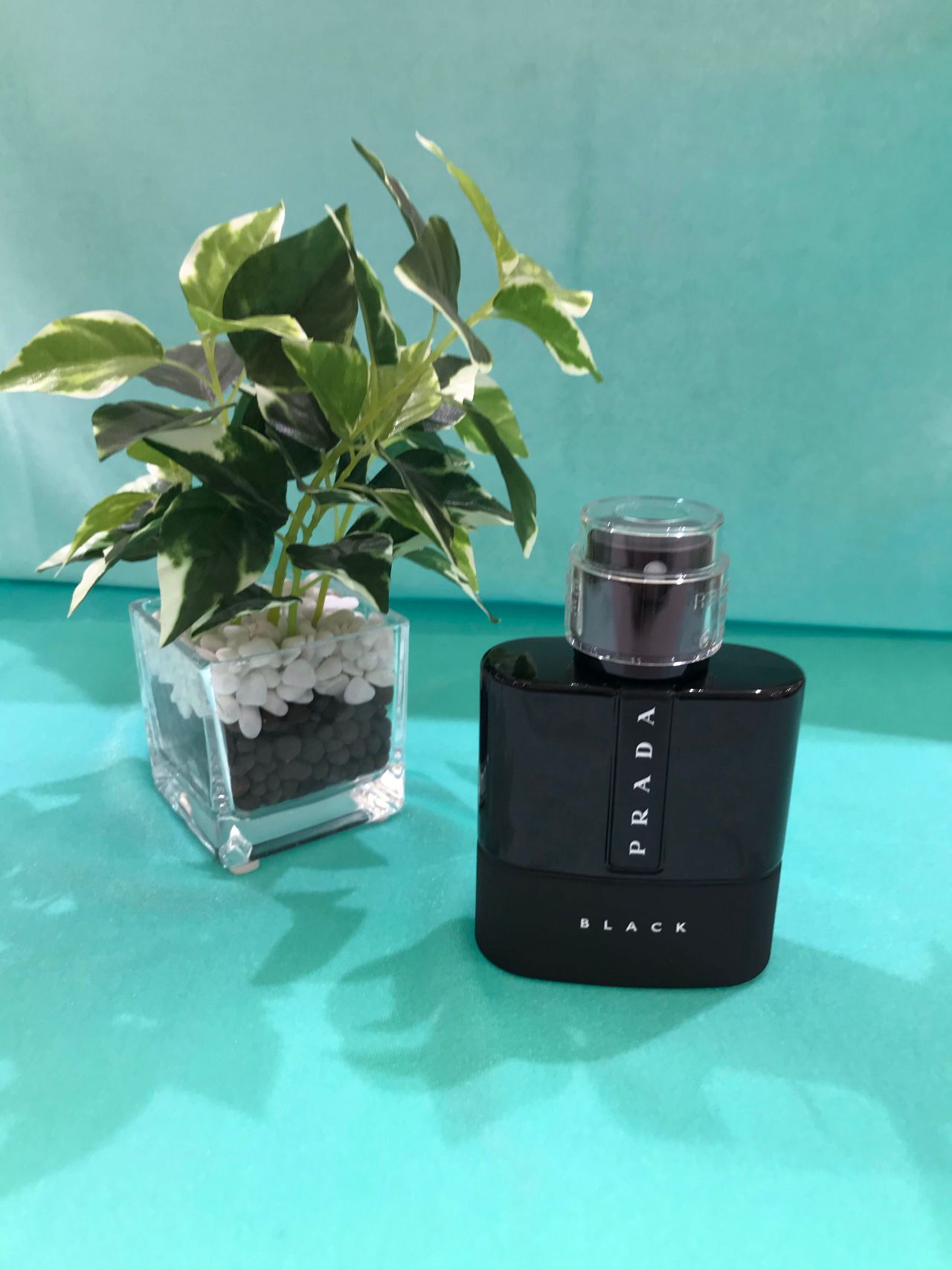 父の日におすすめ Pradaプラダ香水 東海店 フィットハウス公式ショップブログ Fithouseblog