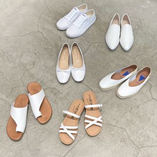 夏の定番カラー 