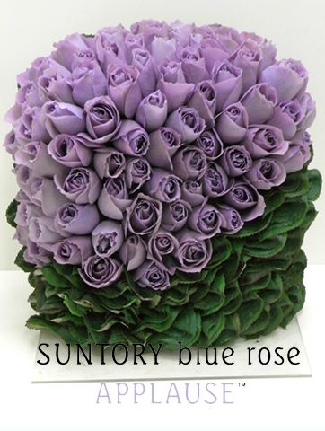 想いが奇跡を起こす 叶わない夢はない ふかや店 メイキングランジェリー 補整下着 マルコの公式ブログ Maruko Official Blog