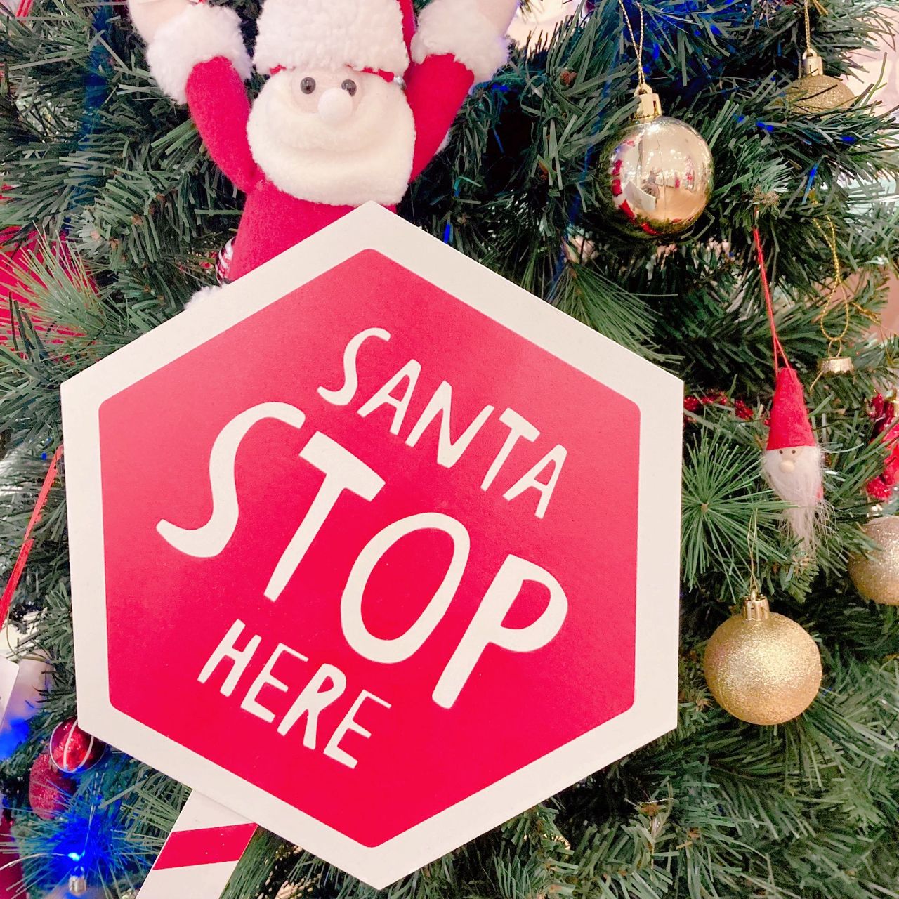 SANTA STOP HERE !!! | ららぽーとTOKYO-BAYストア | フライング