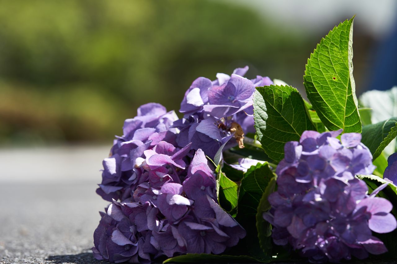 オンラインショップ メーカーズシャツ鎌倉 公式ショップブログ Maker S Shirt Kamakura