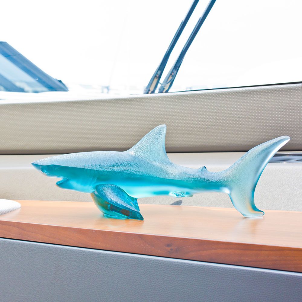 創業祭にサメがやってくる！ | 岡山拠点のトミヤコーポレーション公式