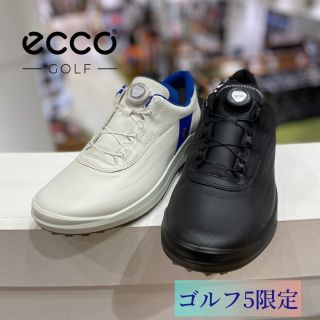 ゴルフ5限定モデル登場‼️ECCO CORE BOA | ゴルフ5 プレステージ