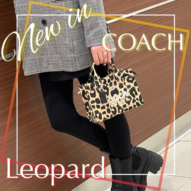 コーチ COACH ハンド・トートバッグ シグネチャー モリー トート
