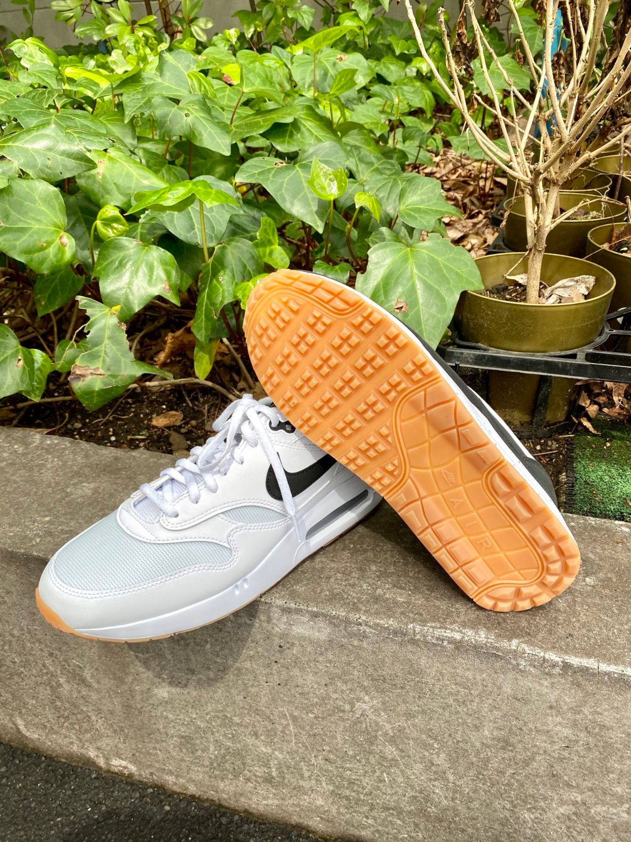 ✔︎NIKE エアマックス86入荷！】 | ゴルフ5 プレステージ広尾店