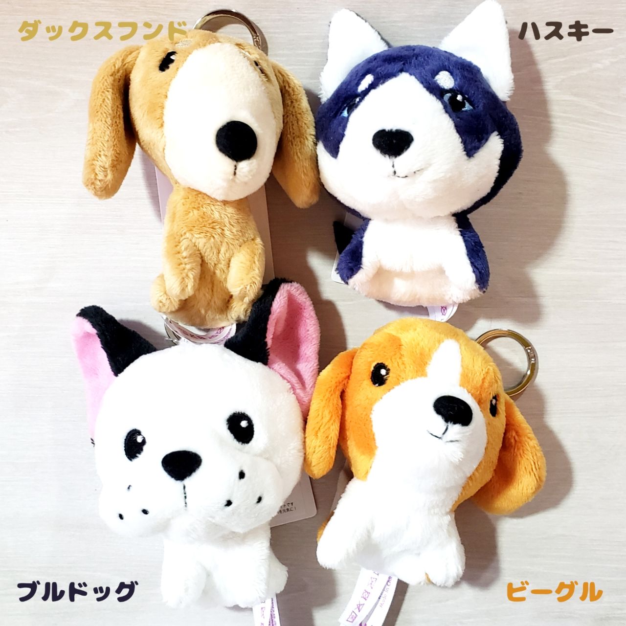 NICI×Ben Lenovitzがコラボしました！【NICI×ベン レノヴィッツ