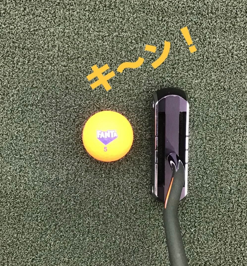 群馬パウダー5 ラインパウダー5kg×4袋 | kitpas online store