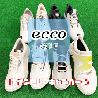エコーゴルフシューズ　ECCO 25.5 ECCO GOLF エコーゴルフ]メンズ BIOM H5 BOA ゴルフシューズ