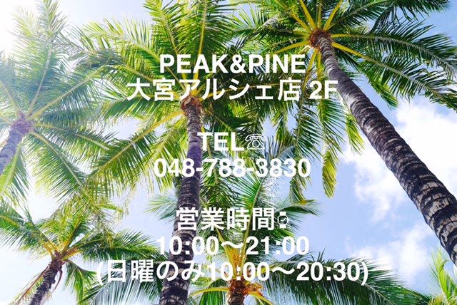 UVカットパーカー(ラッシュガード)お忘 | 大宮アルシェ PEAK&PINE 2