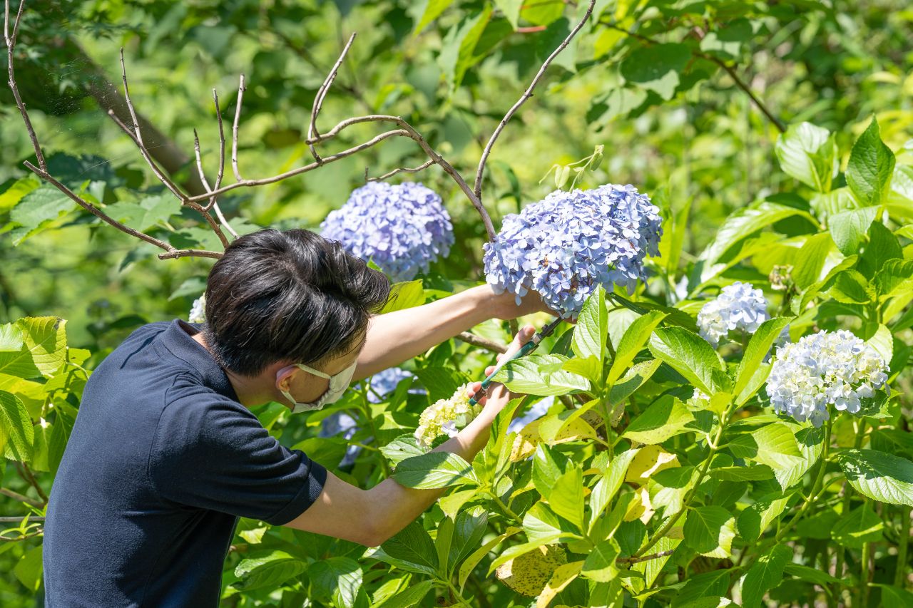 オンラインショップ メーカーズシャツ鎌倉 公式ショップブログ Maker S Shirt Kamakura