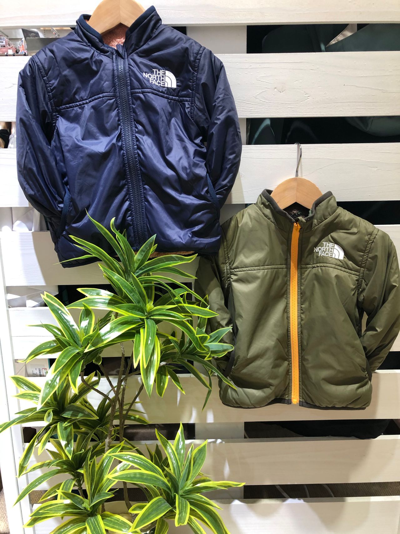 保証書付 海外限定ノースフェイス Wander Hooded Shirt 関税込 数量限定 Www Premiervbleague Com