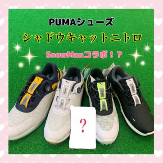 PUMAシューズ 】Snow Manのポストカードがもらえる！？ | ゴルフ5