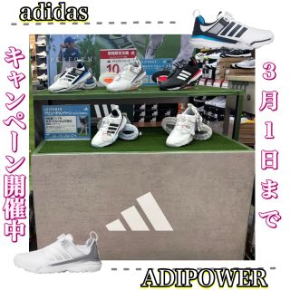 アディパワー26SL】是非お試しを！ | ゴルフ5 西葛西店 | ゴルフ5
