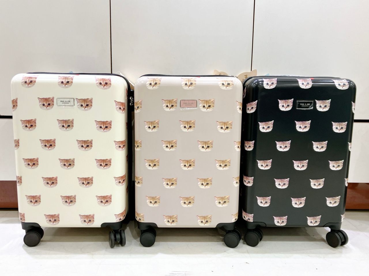 旅行応援】ねこちゃんスーツケースのご紹介♡⃛ | 小牧店 | フィット