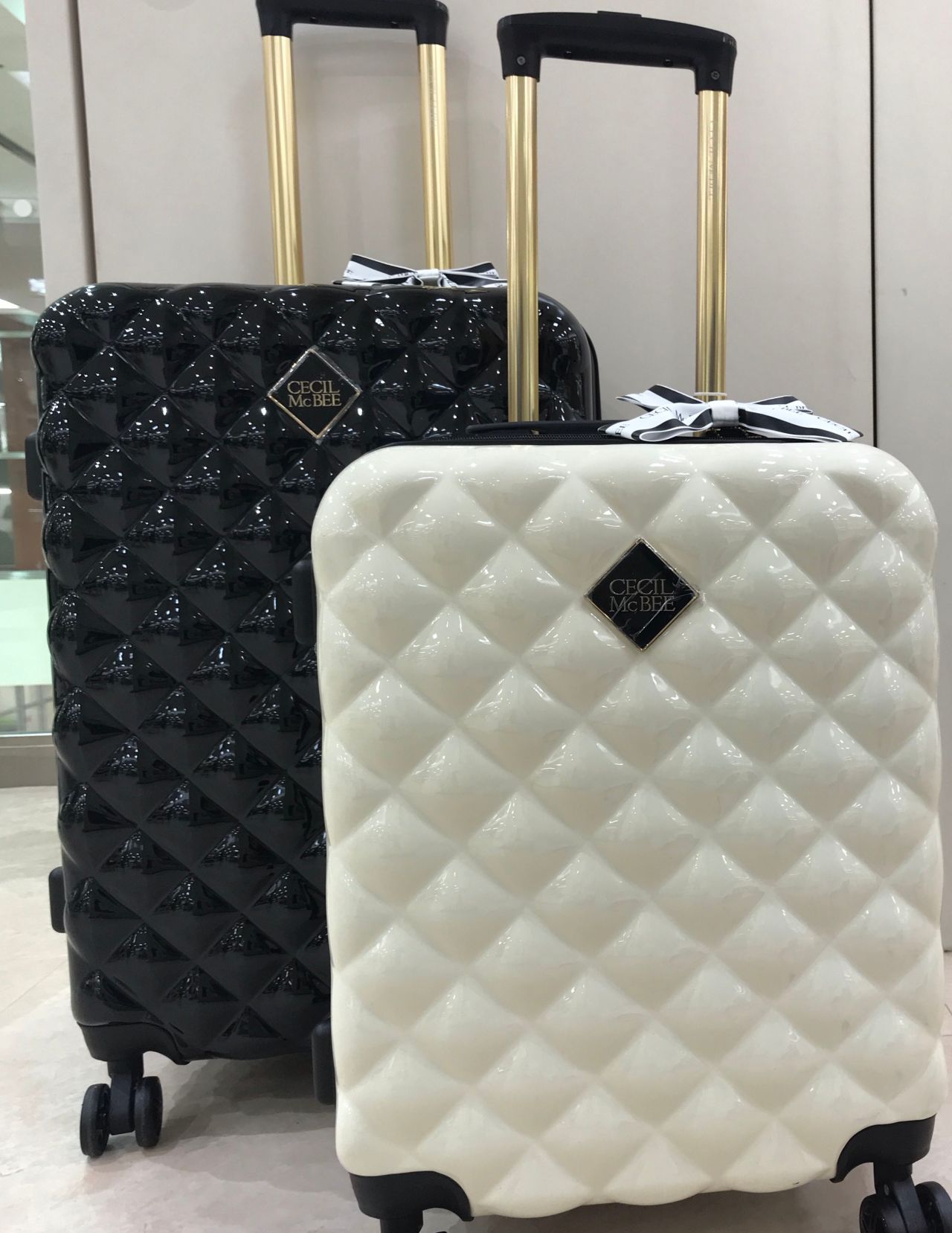 旅行や修学旅行にcecil Mc Beeのスーツケースを W 沼津店 フィットハウス公式ショップブログ Fithouseblog