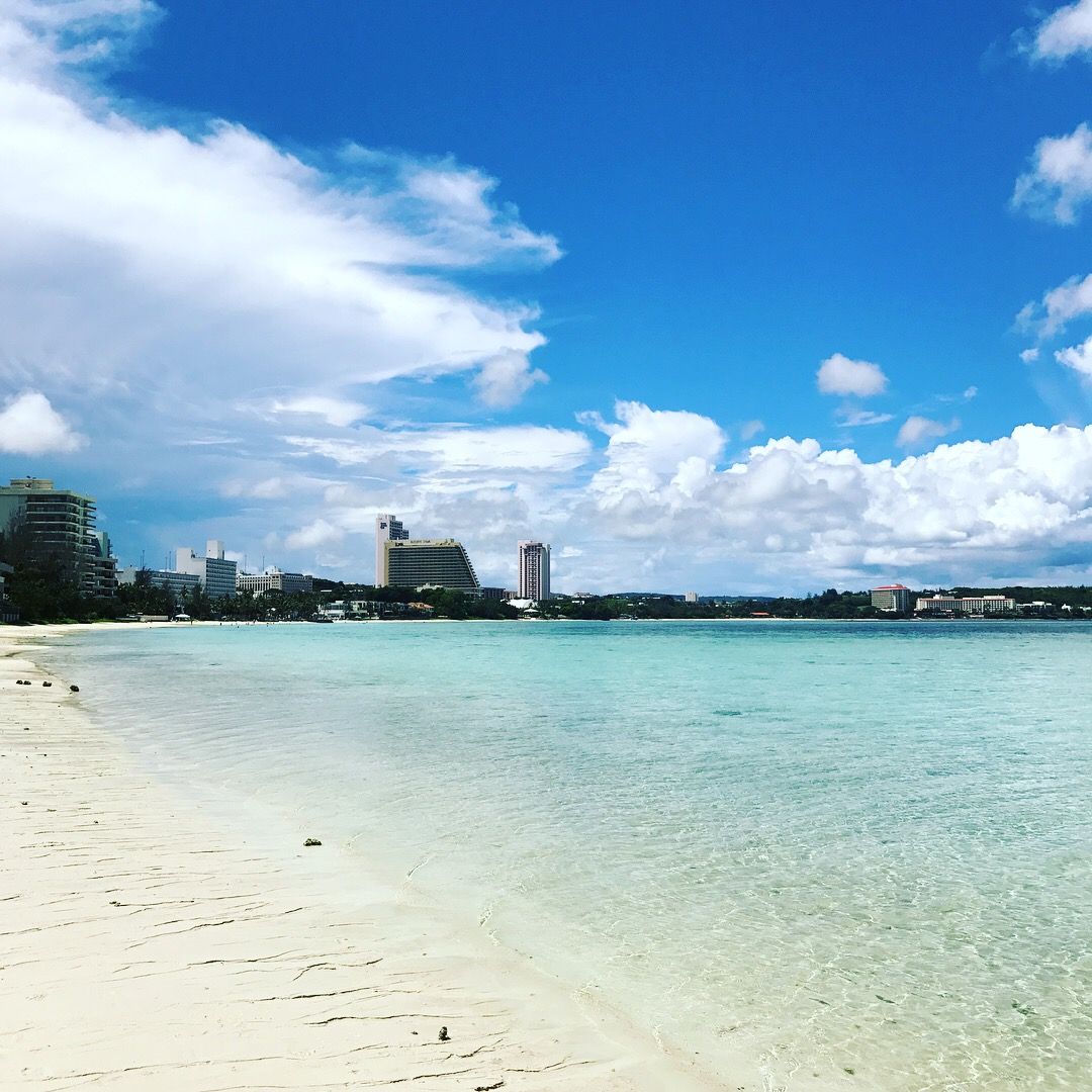 エルメス　パイナップル　ハイビス　パレオ　水着　海　ビーチ エルメスパイナップルハイビスパレオ水着海ビーチ
