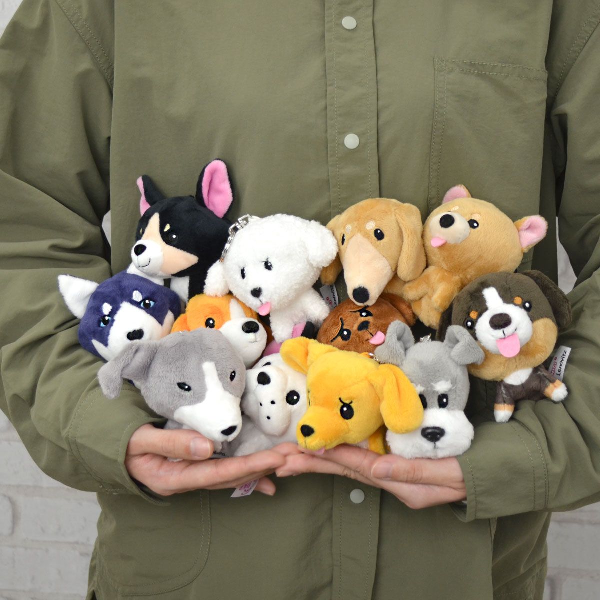 NICI / ニキ アントレックス（entrex）コーポレイトサイト